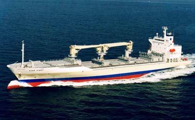 Star Ripe Container Star Reefers predicts more scrapping :: Lloyd's List