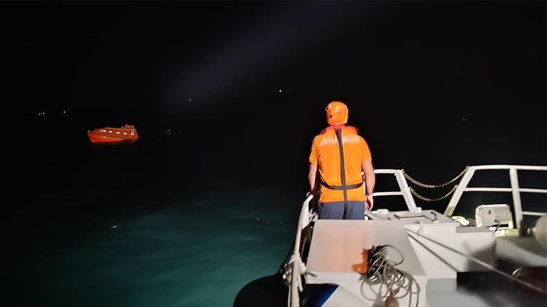 Turkish bulker sinks in Sea of Marmara September 2, 2026