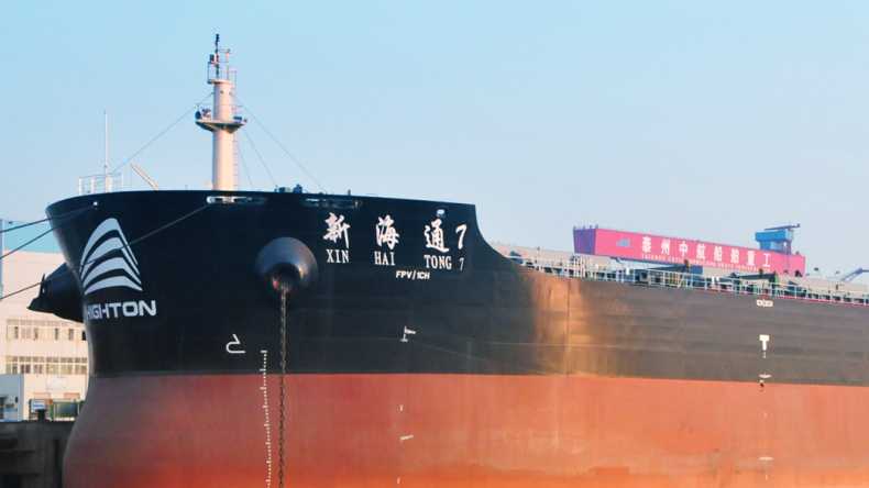 Highton Development dry bulk ship near port 