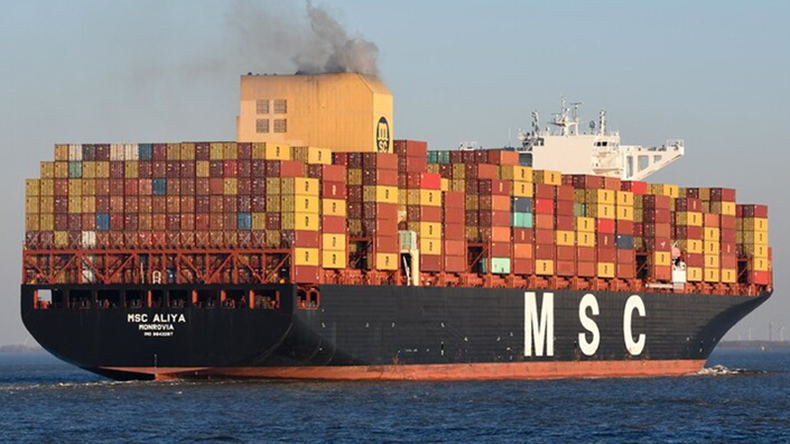 Containership MSC Aliya at River Elbe