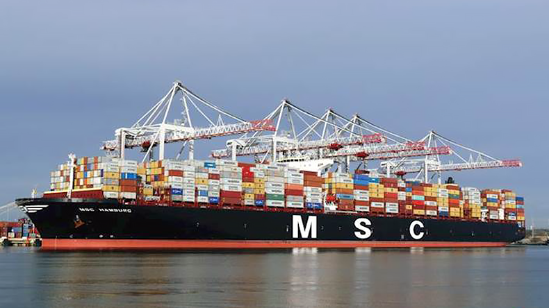 MSC Hamburg containership at docks