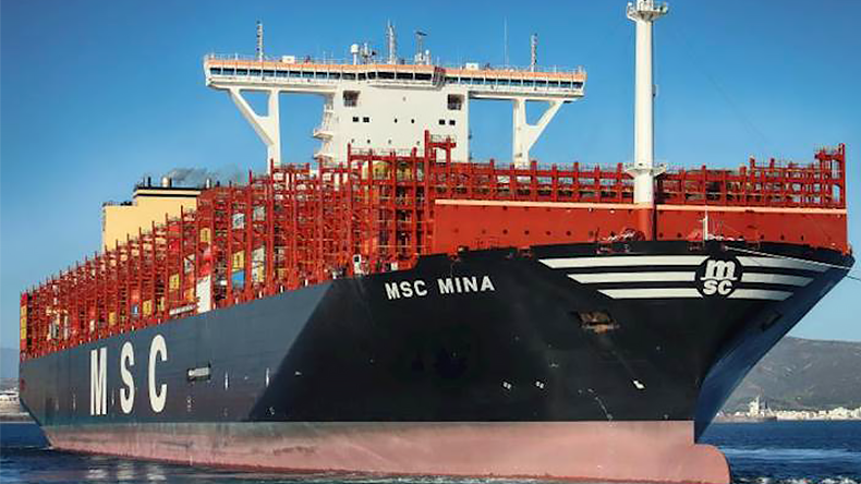 MSC Mina containership at port