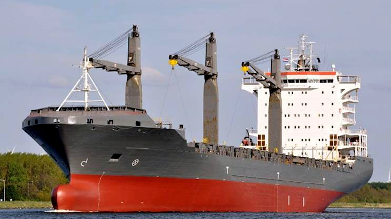 MSC adds more secondhand boxships as it reduces share of chartered tonnage
