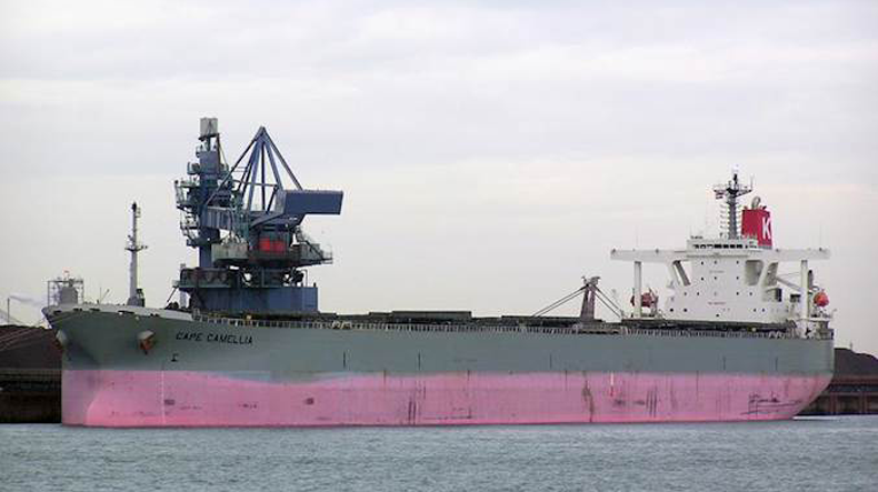 Berge Aoraki. Credit Seasearcher