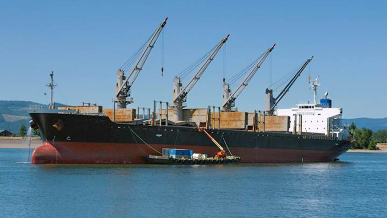 Dry bulk vessel Eco Angelbay