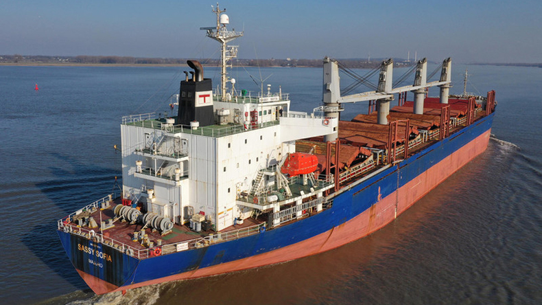 Bulk carrier Sassy Sofia on River Elbe in 2022