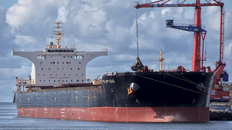 Pelopidas at Ijmuiden, the Netherlands