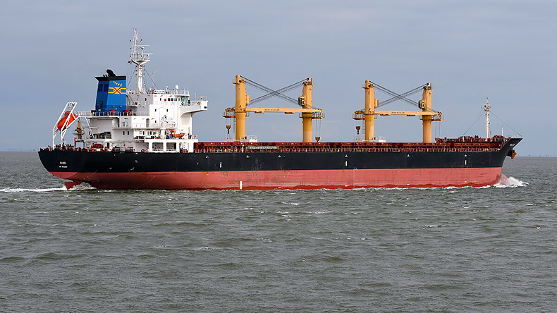 Bulk carrier Super Martinelli on the river Elbe