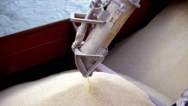 Grain being loaded into ship hold