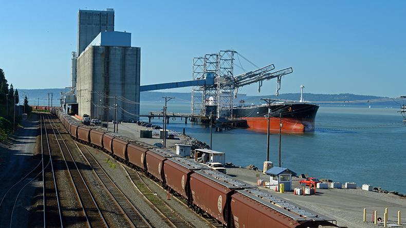 How US grain exporters worked their way around two blocked canals - Vimarsana News