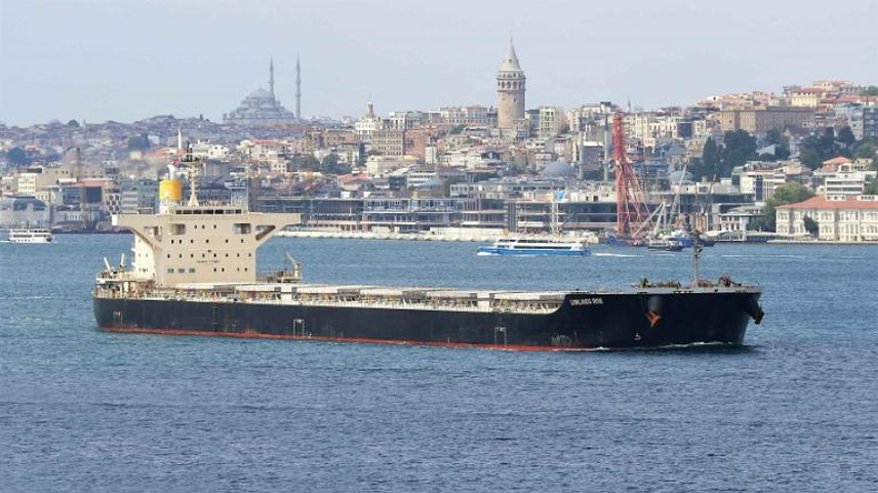 Bulk carrier values still rising despite freight market corrections - Vimarsana News