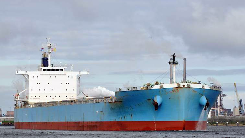 Synthesea dry bulker at port