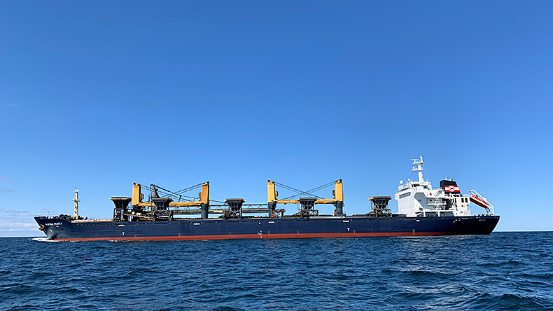 Bahamas-flagged, 50,165 dwt bulk carrier Algoma Verity