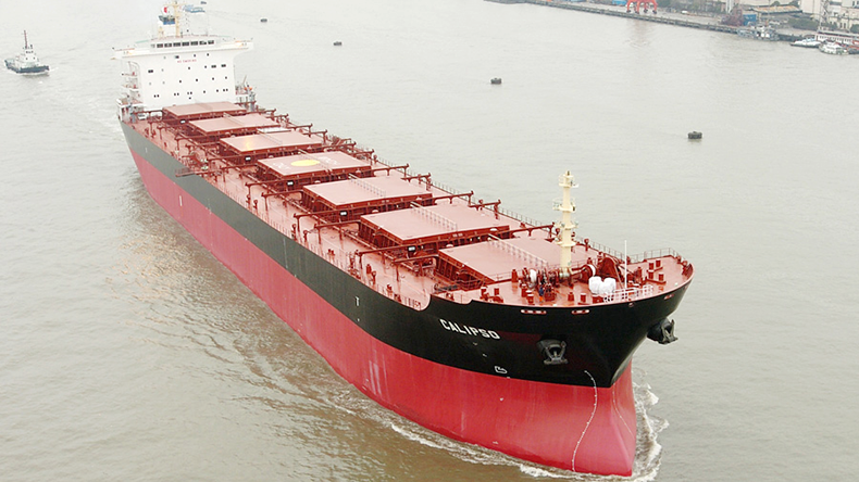 OceanPal's dry bulker Calipso (IMO: 9297929)