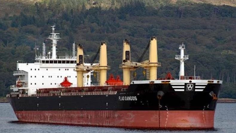 Dry bulk ship near port