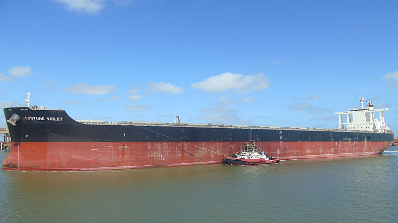 Cido Shipping Fortune Violet 