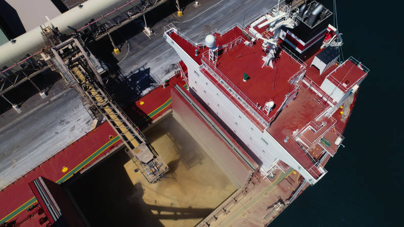 grain loading on a bulker by adobe
