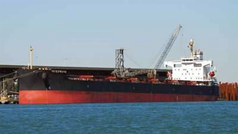 Safe Bulkers pushes on with fleet renewal