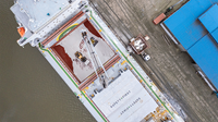 Bifurcation of the dry bulk fleet