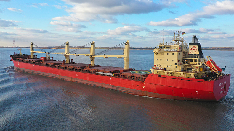 Bulk carrier Federal Leda_now named NJ Earth
