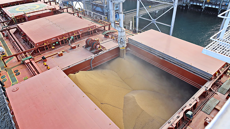 Cargo terminal for loading grain cargo by shore cranes - Port Tacoma, WA, USA.