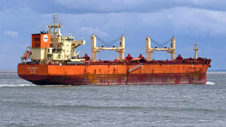 Pan Regina bulk carrier ship at sea