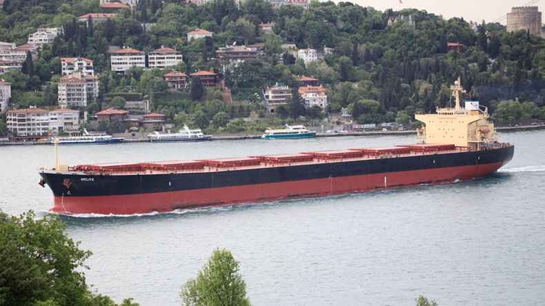 Diana Shipping vessel Melite