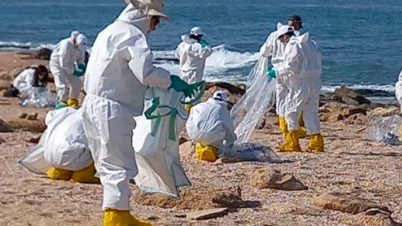 Beach clean-up after oil spill off Israeli coast in February 2021