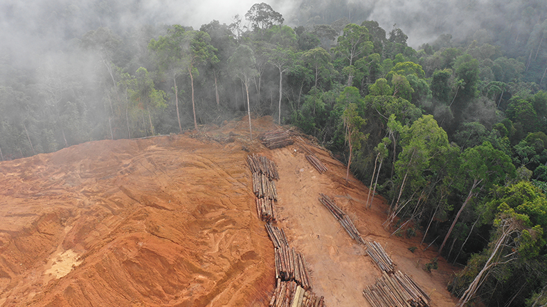  Aerial drone view of deforestation