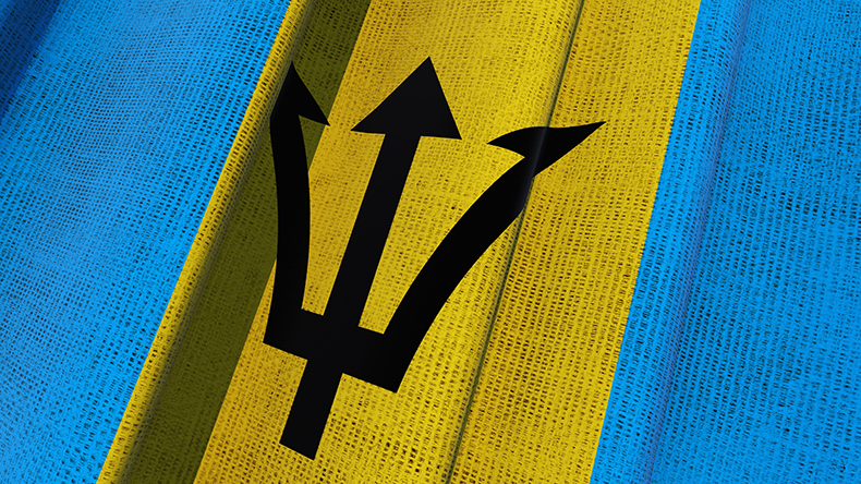 Barbadian National Flag. Waving 3D Barbados 3D Canvas Flag