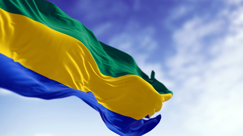 National flag of Gabon waving in the wind on a clear day
