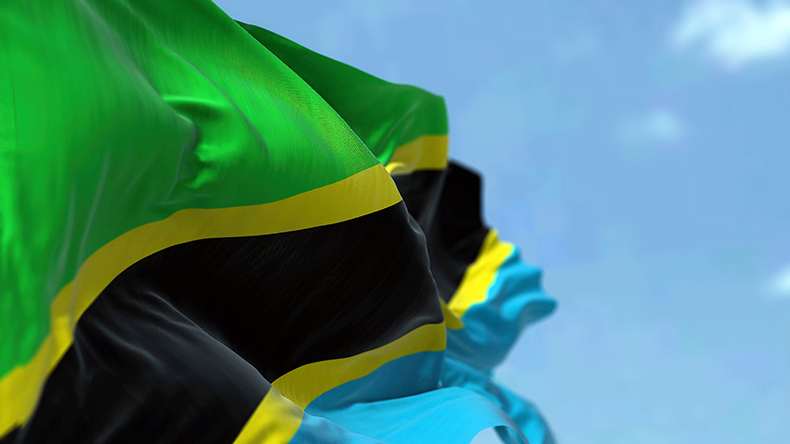 Flag of Tanzania waving in the wind on a clear day