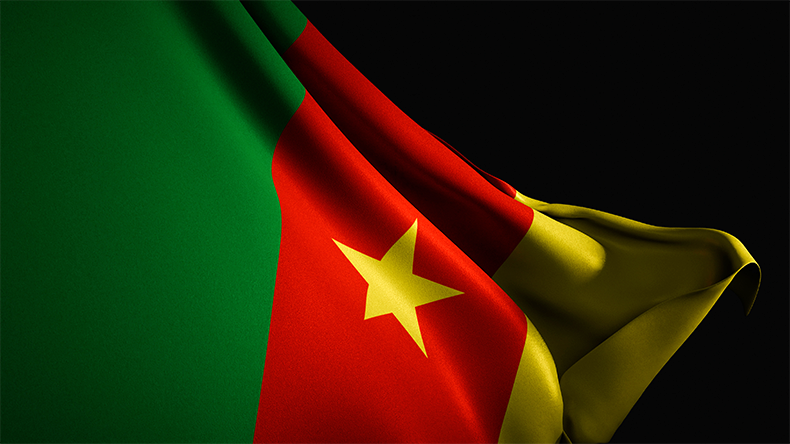 Cameroon flag dark background