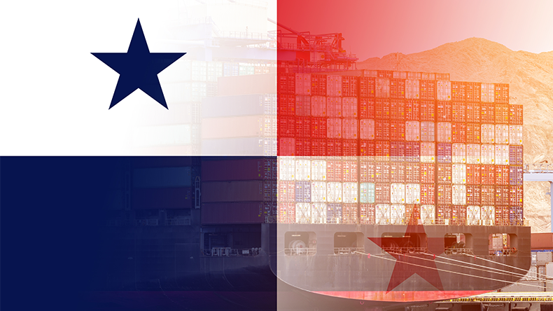 Containership with Panamanian flag in the background