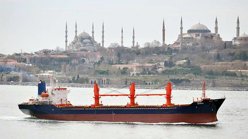 Dry bulk ship Sabat at Istanbul