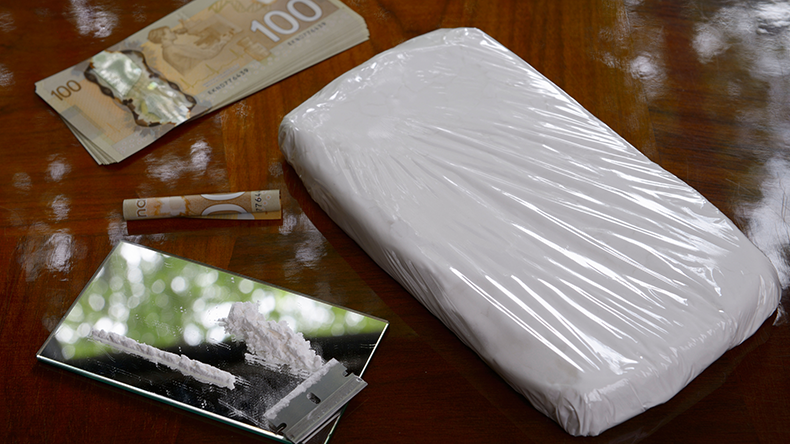 Cocaine block and lines with cash