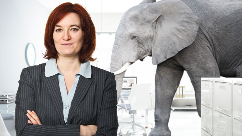 woman in office with elephant