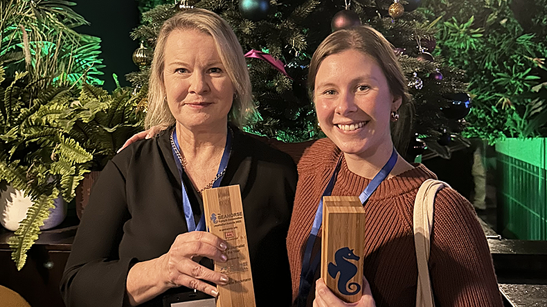 Winners from Seahorses awards
