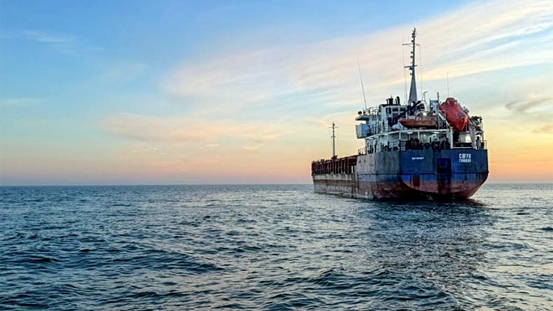 Caffa (IMO: 9143611), a general cargoship boarded by Swedish forces on March 6, also off Trelleborg