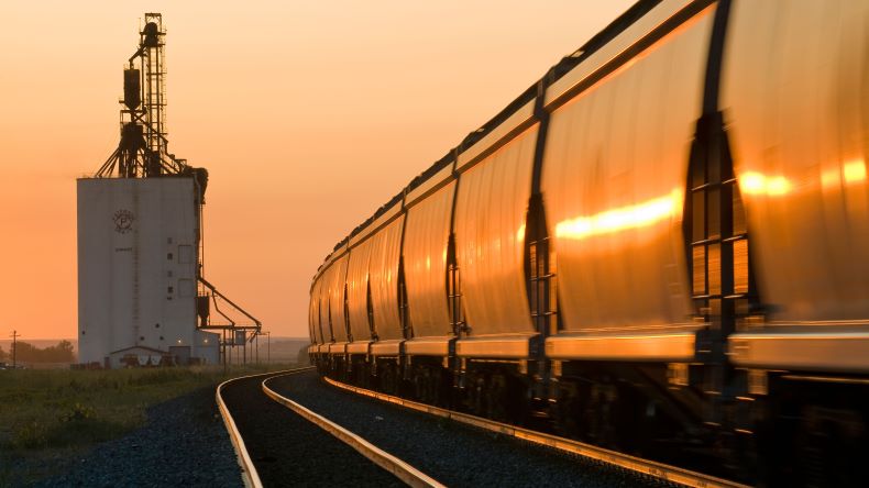 rail cars at Canada grain terminal