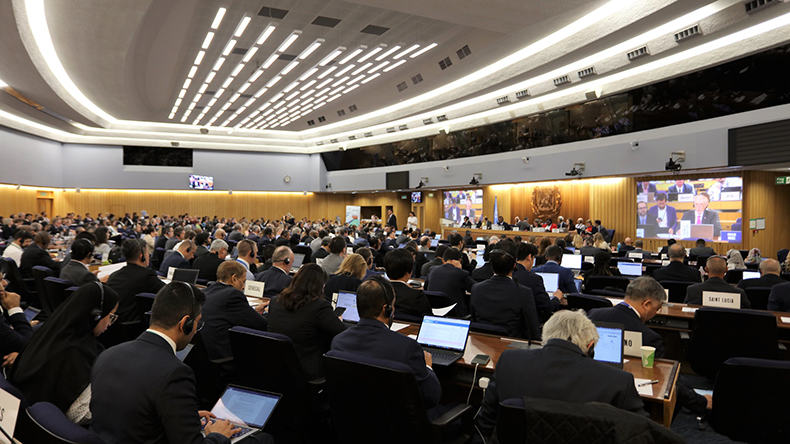 International Maritime Organization MEPC80