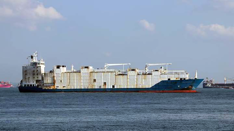 Livestock vessel Yangtze Fortune