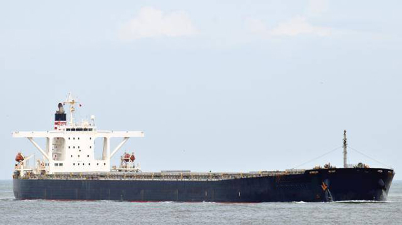 Sunbeam bulker 