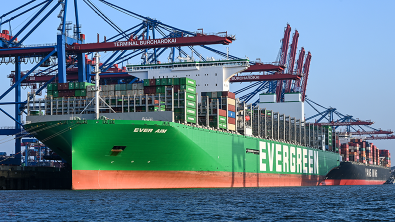 Several large containerships and cranes of the port of Hamburg