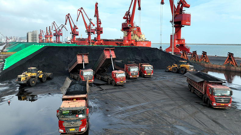 Ships unload thermal coal at Lianyungang coal terminal in east China