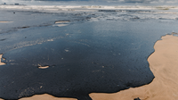 SIGCo slams US government ‘coercion’ after $40m OPA90 claim in zero-pollution casualty