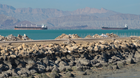 Don’t expect shipping to snap back to normalcy with a US-Iran agreement