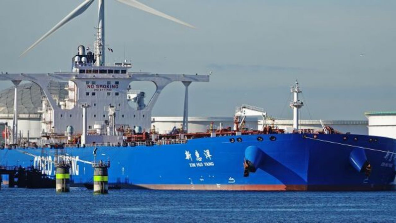 Xin Hui Yang at Rotterdam