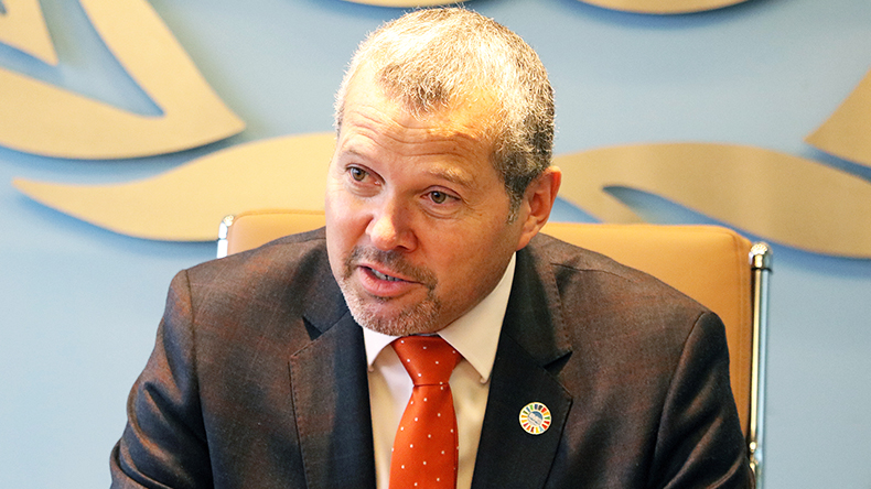 Arsenio Dominguez, International Maritime Organization