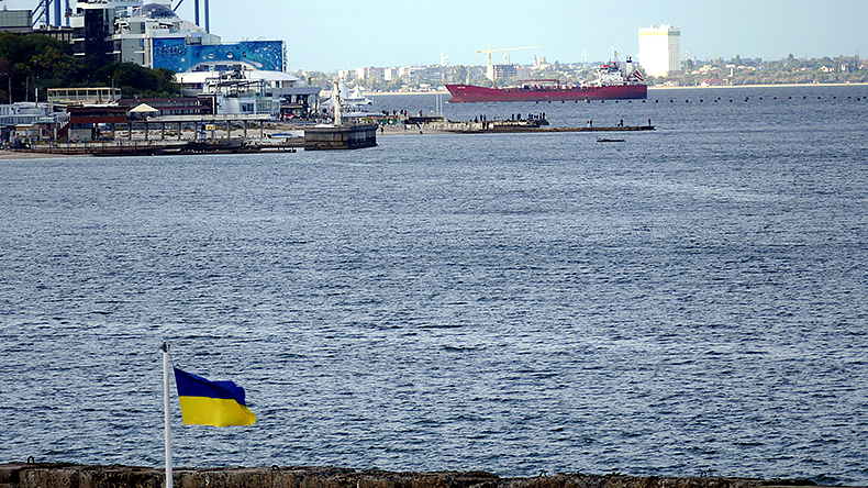 Ship arrives in the Odesa port via the grain corridor in southern Ukraine